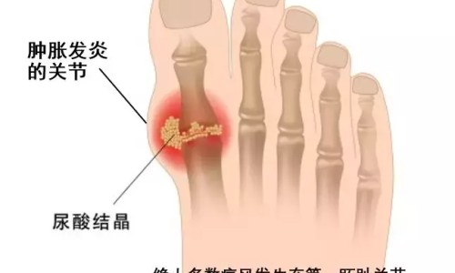 藿香清胃胶嚢-藿香清胃胶说明书网 - 为你提供藿香清胃胶说明书图片、藿香清胃胶作用和功效